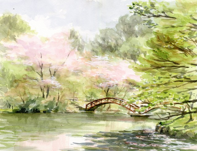 教室No104こどもの国／白鳥湖の桜：F6 - … 風景画の部屋 …