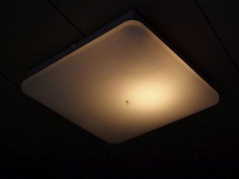 うちの蛍光灯の照明（シーリングライト）が故障しました。これは懐中電灯で照らしているところです。