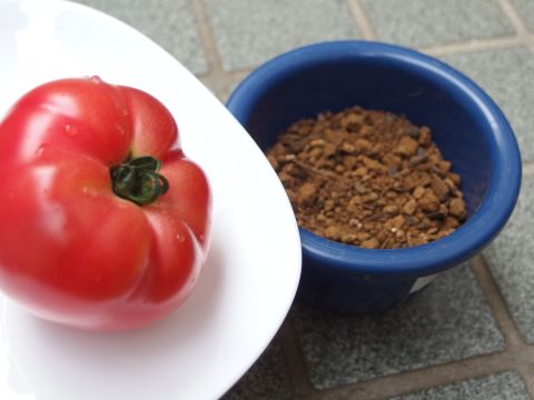 トマトの実と土を用意してトマトを栽培することが出来るのか実験しました。