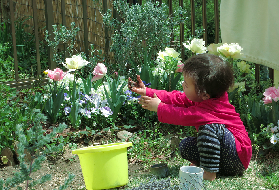 子どもが遊ぶチューリップの庭