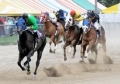 Kandy horse racing
