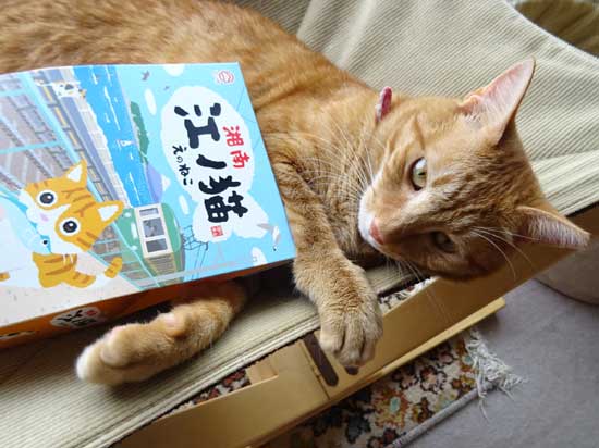 江ノ猫クッキーと花楽２