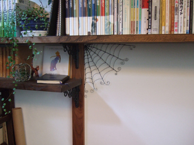 蜘蛛の巣1
