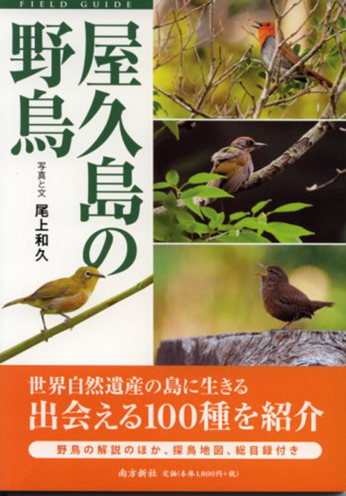 フィールドガイド-屋久島の野鳥
