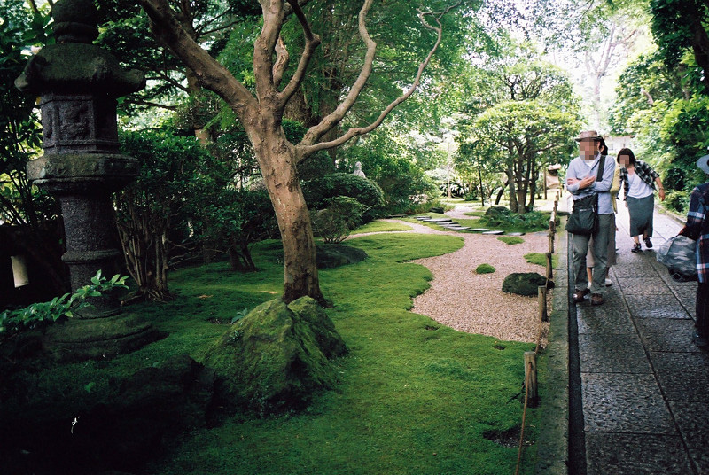 なみちゃんと鎌倉編２日目の１　報国寺入り口の苔庭