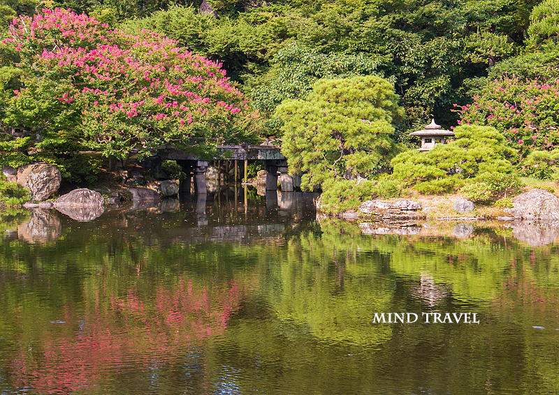 京都御所　池と百日紅