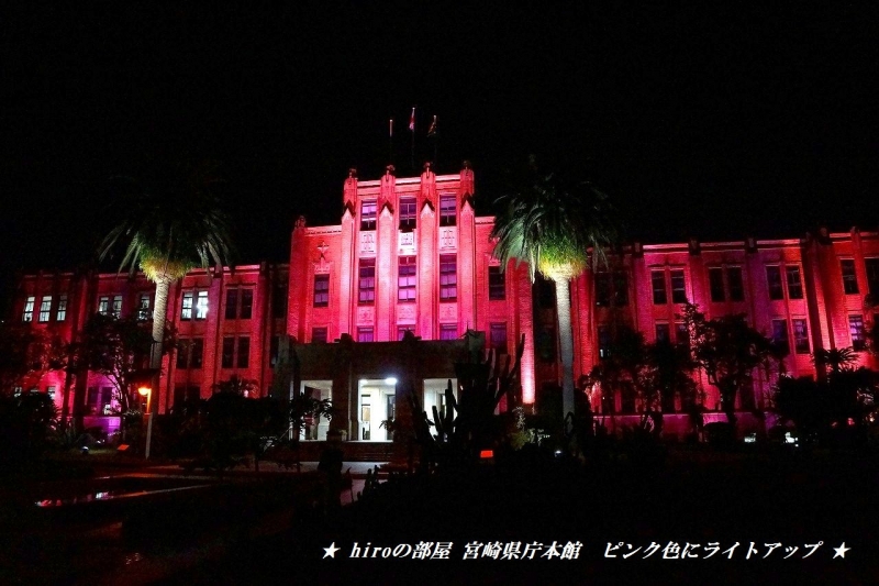 hiroの部屋　宮崎県庁本館　ピンク色にライトアップ