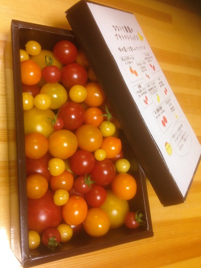 tomatobox1.jpg
