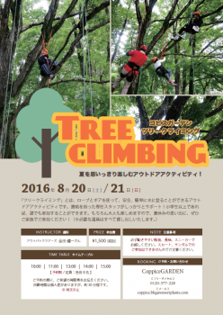 木登り2016