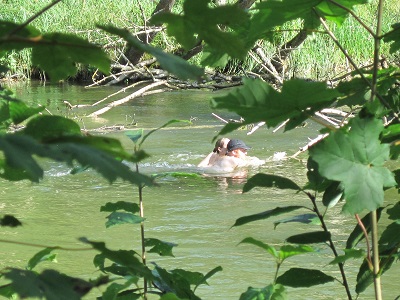 このカップルは川の中の倒木につかまって イチャイチャおしゃべりしてました。