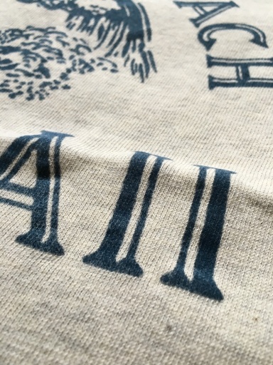 REMI RELIEF（レミレリーフ）のHAWAIIリサイクル天竺スペシャル加工Tシャツ④