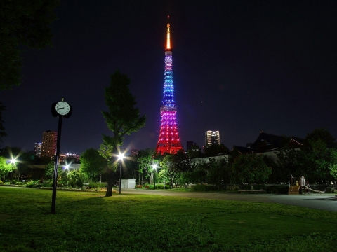 東京タワー　レインボーダイヤモンドヴェール