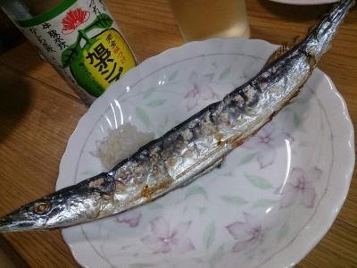 初秋刀魚