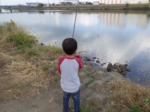 中川の釣り (11)