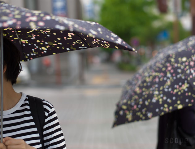 はこぽす対応商品】 SENZ mina perhonen ミナペルホネン 折り畳み傘 傘 