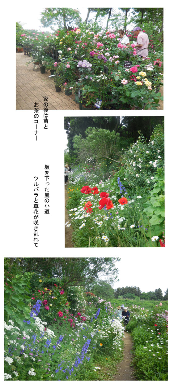 坂野ガーデン2